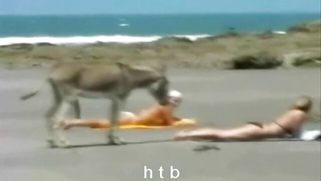 hot semua gadis Tag kru pertempuran video seks 3gp